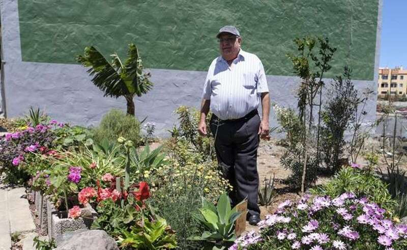 El parterre tiene todo tipo de flores y árboles frutales, como tres plataneras. / COBER